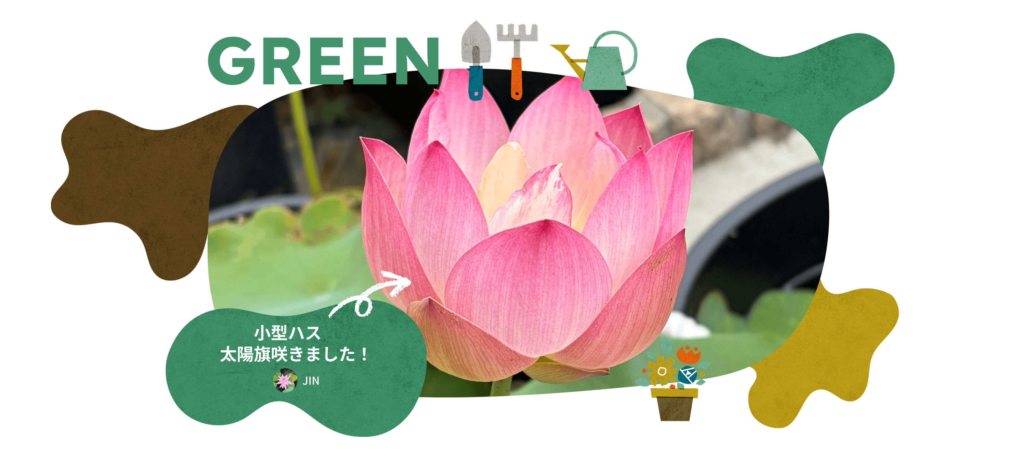 GREEN