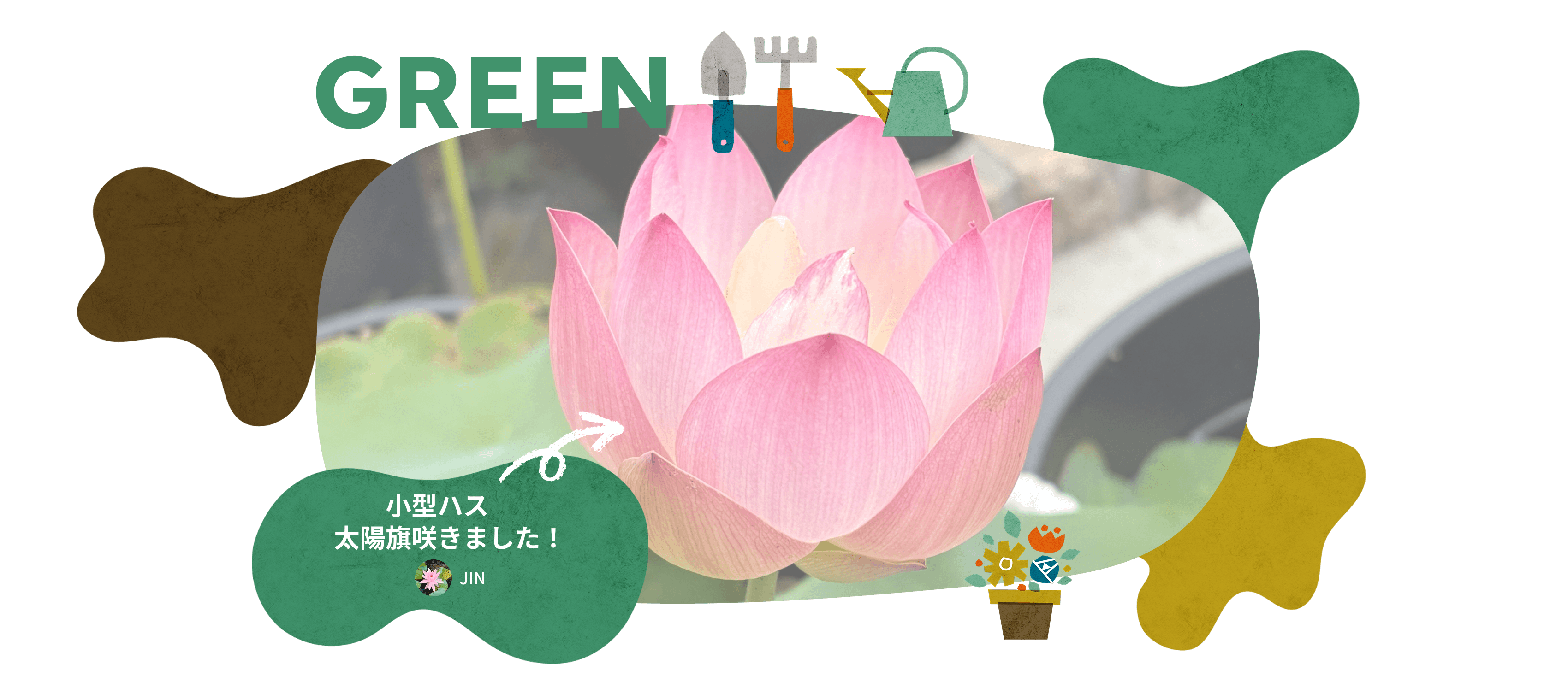 GREEN