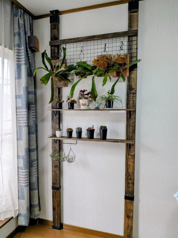ラブリコで壁面植物棚