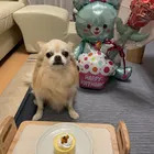 ぺぺ