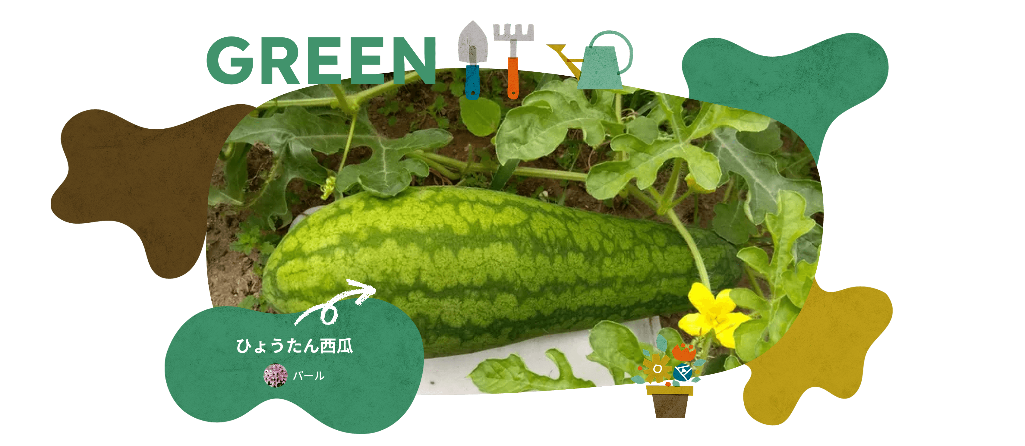 GREEN