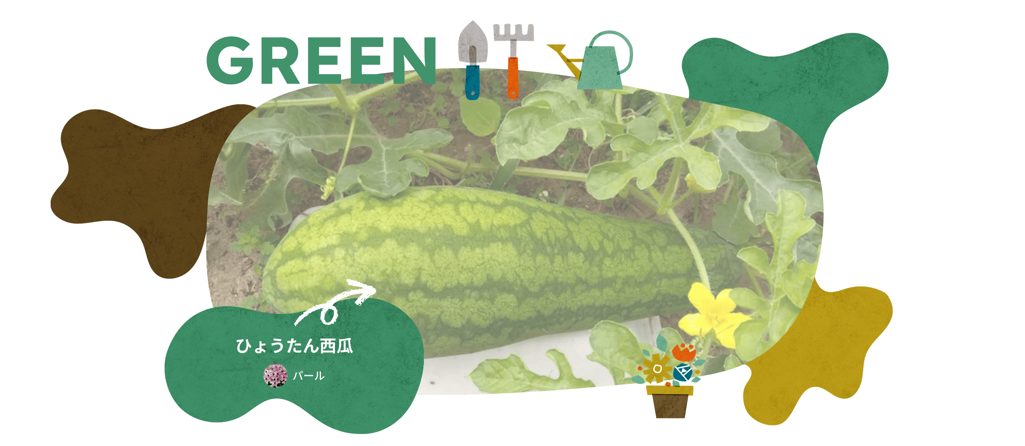 GREEN