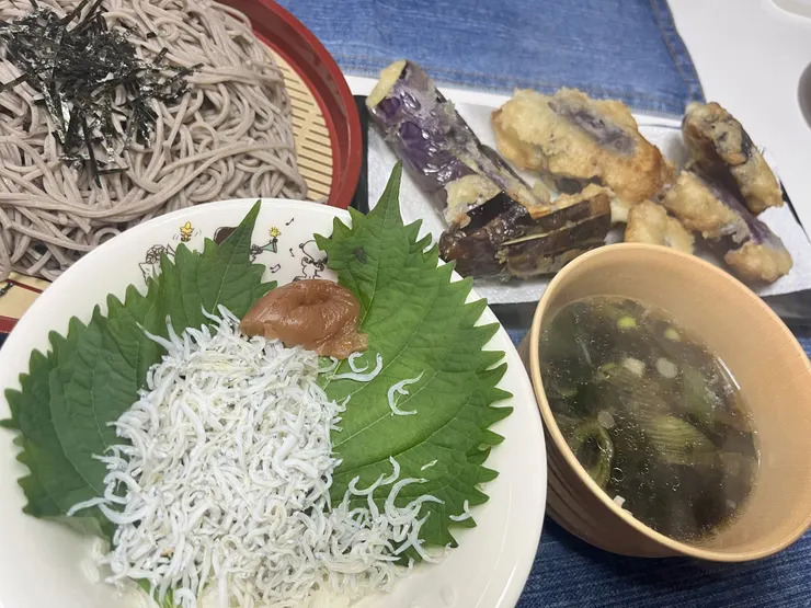 梅シソしらす丼