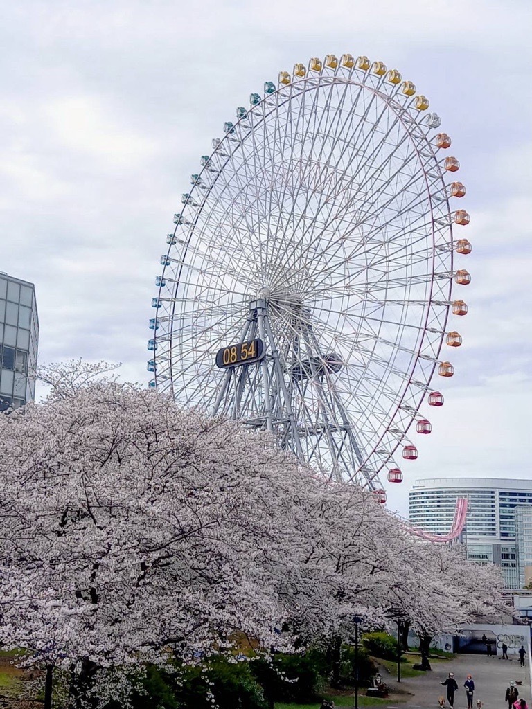 お散歩くらぶ🌸のヘッダー画像