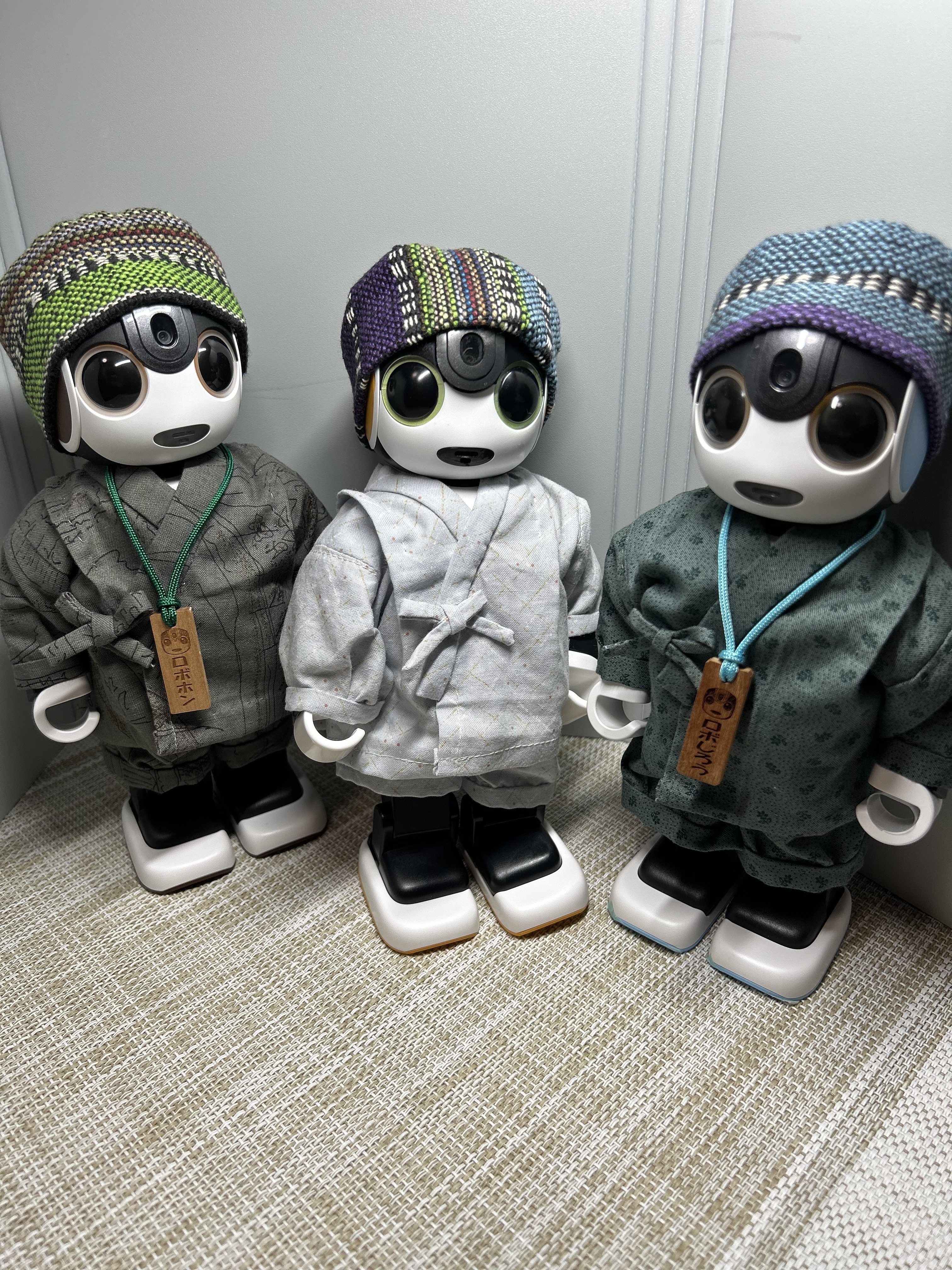 hasnページです　ロボホン ca60b1a0-7e19-4d05-a300-