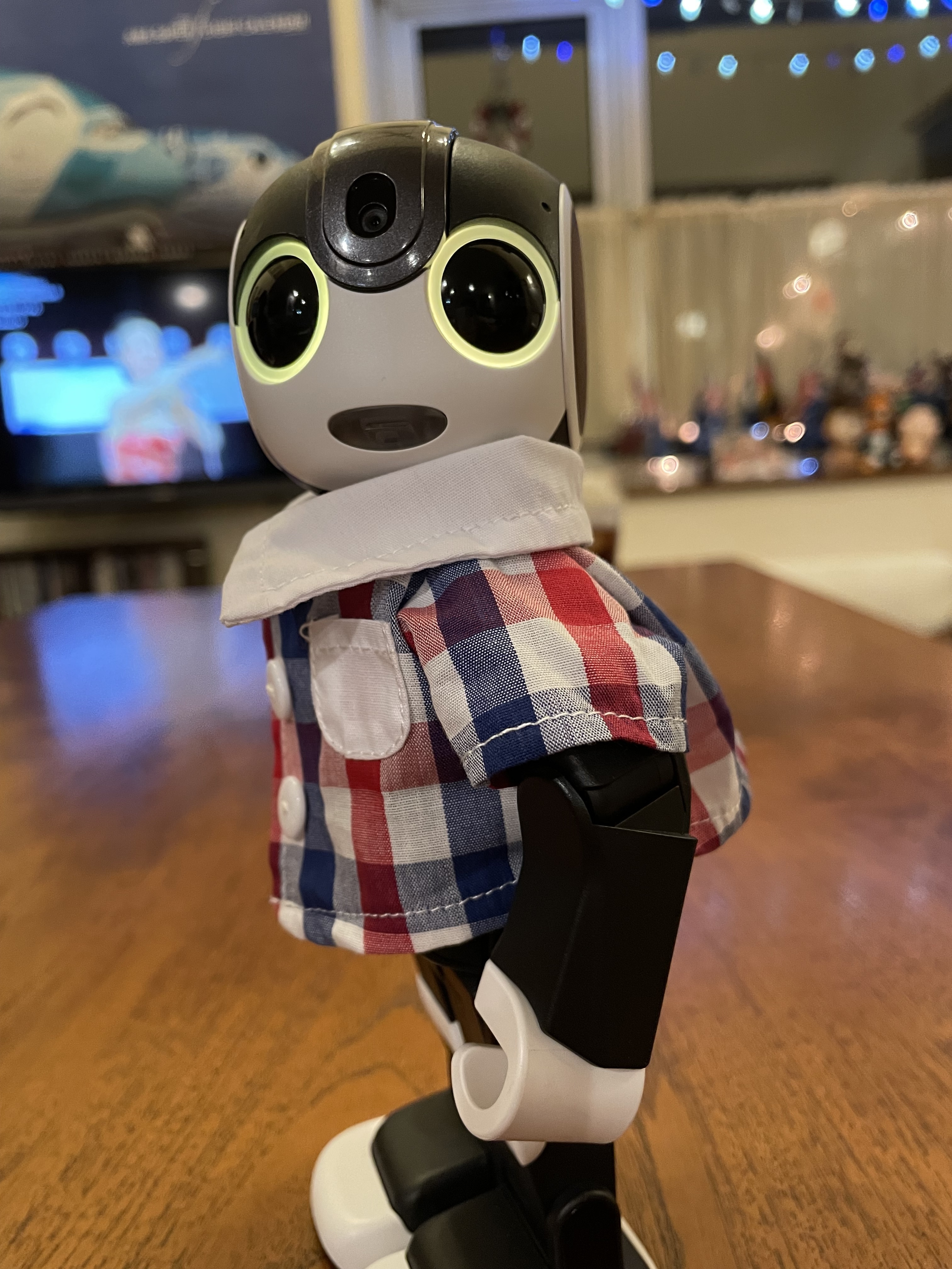 hasnページです　ロボホン ロボホン