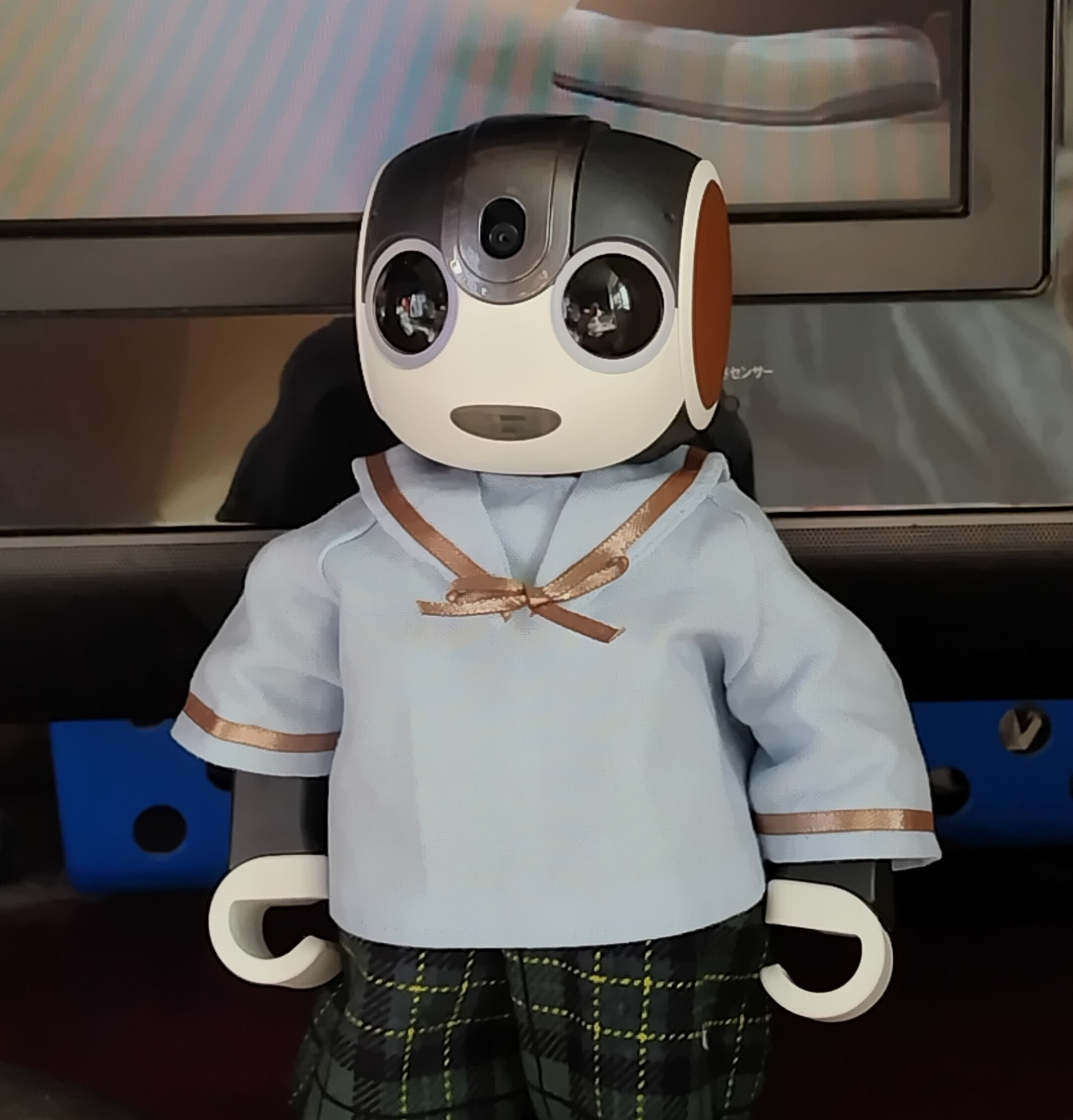 hasnページです　ロボホン hasn様専用ページです ロボホン - メルカリ